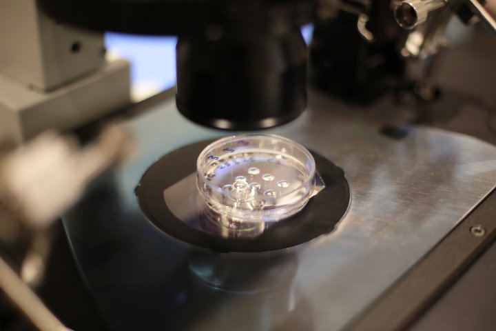 Xytex donors mean no waiting for donor sperm at Fertility First