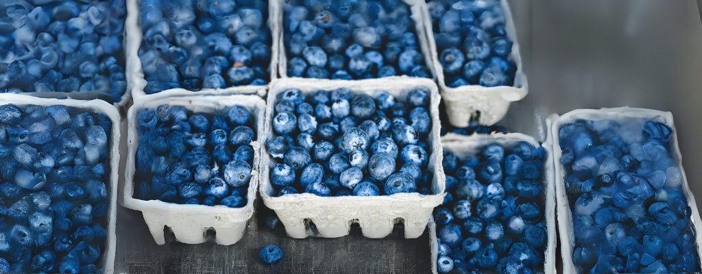 a bowl of blueberries to increase sperm count